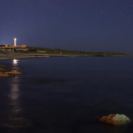 Kings With Private Garden 公寓 Paphos