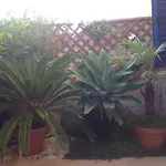 Kings With Private Garden 아파트