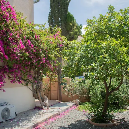 Kings With Private Garden