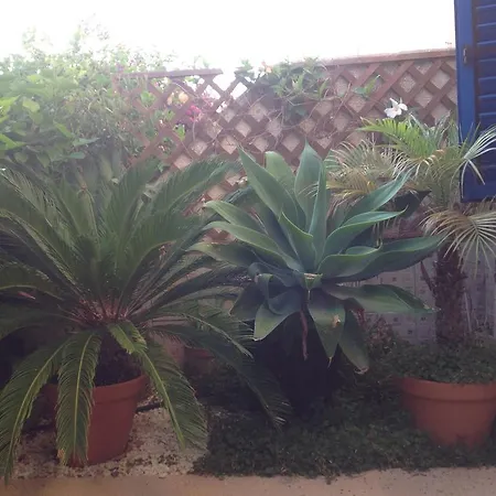 Kings With Private Garden Апартаменты