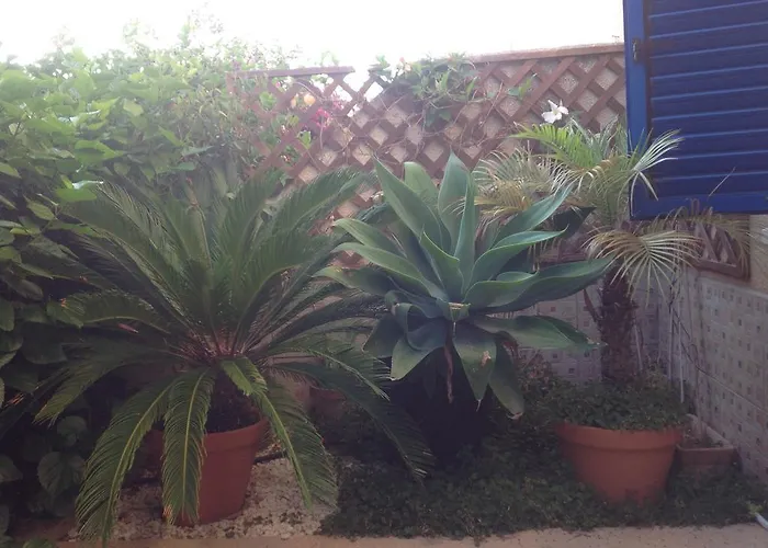 Kings With Private Garden Apartmán