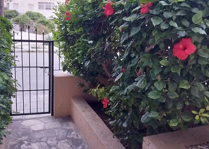 Kings With Private Garden Apartamento *