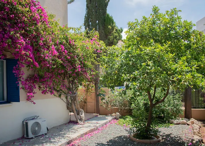 Kings With Private Garden